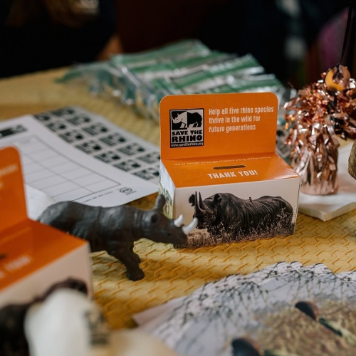 Rhino materials on a table including a rhino money box, pamplhets and a small rhino ornament