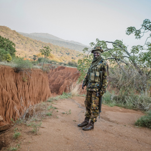 Wildlife ranger standing in a wildlife landscape