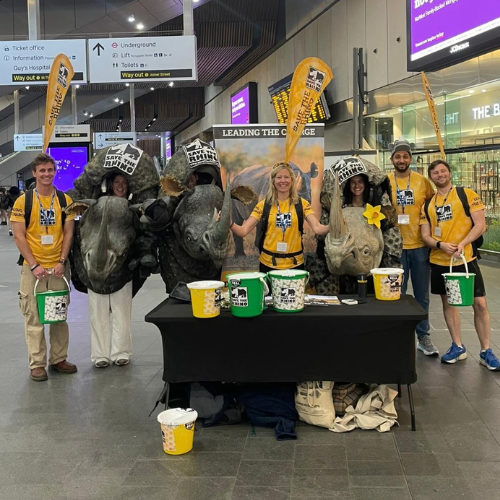 Fundraisers for Save the Rhino and the rhino costumes at London Bridge Station doing a bucket collection.